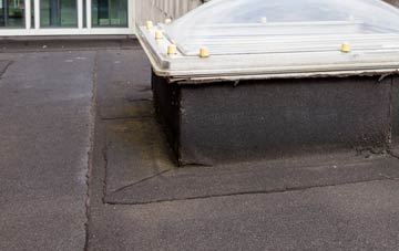disadvantages of Hanford flat roofs