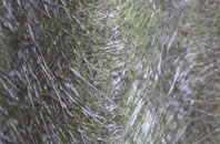 Hanford fibreglass roof work